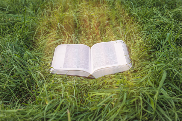 Livre ouvert sur le champ herbeux avec la lumière du soleil
 - Photo, image