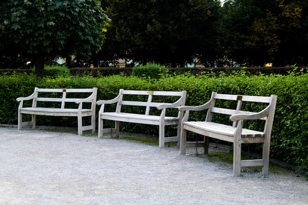 drewniane ławki w parku jesień i chodnik - Zdjęcie, obraz
