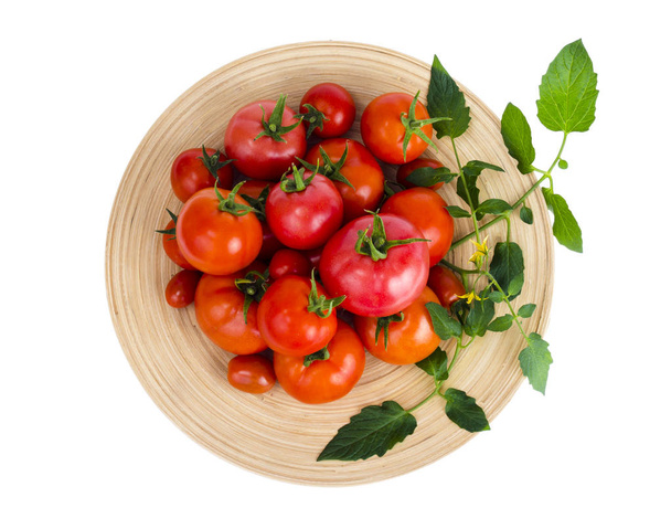 Plato de madera con diferentes tomates maduros sobre fondo blanco
. - Foto, Imagen