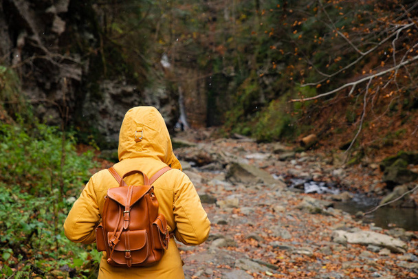 ženská procházka po pěšině v lese podzimní Turistika - Fotografie, Obrázek