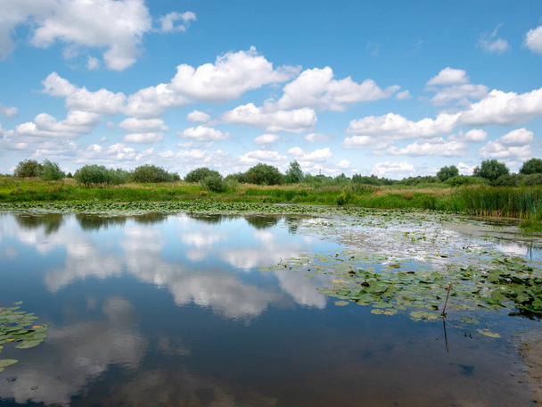 paisagem: rio, árvores, céu com nuvens. Ucrânia
. - Foto, Imagem