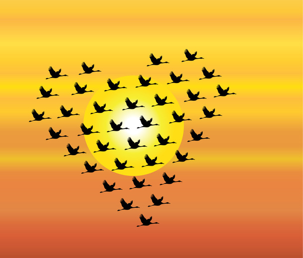 飛行の白鳥、ガチョウ飛行または夕方や朝の空と、バック グラウンドで太陽に対する心臓の形で飛んでクレーンの黒いシルエット - 写真・画像