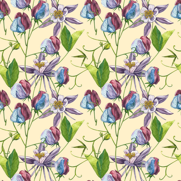 Seamless patterns. Watercolor set of Sweet Peas flowers and leaves, hand drawn floral illustration isolated on a white background. Collection garden and wild herb, flowers, branches. Botanical art. - 写真・画像