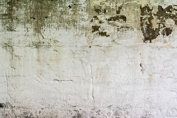 texture concrete wall with destroyed plaster layer and paint, shadow from trees, architecture abstraction background - Фото, изображение