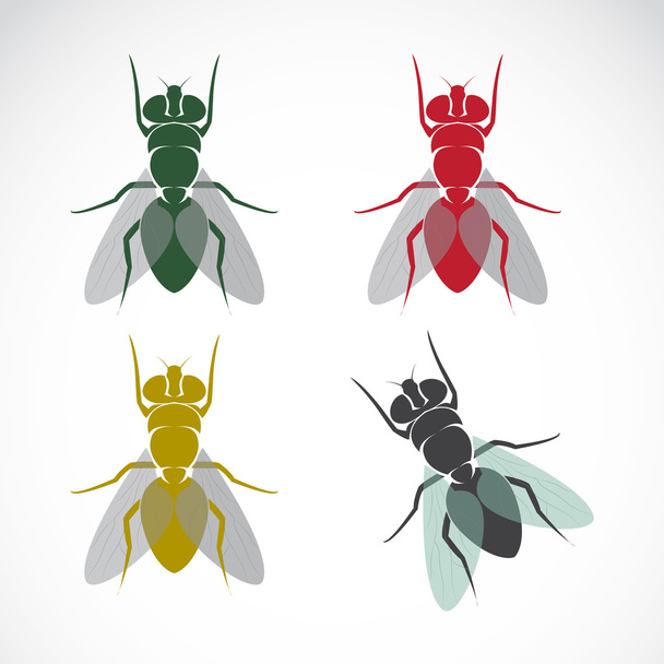 Imagen vectorial de una mosca
 - Vector, imagen