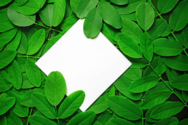 Papel con hojas verdes
 - Foto, Imagen