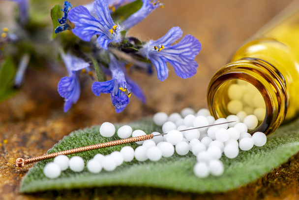  alternative medicine with homeopathy and herbal pills - Foto, afbeelding