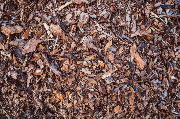 texture of brown mulch and wood shavings - Foto, Imagem
