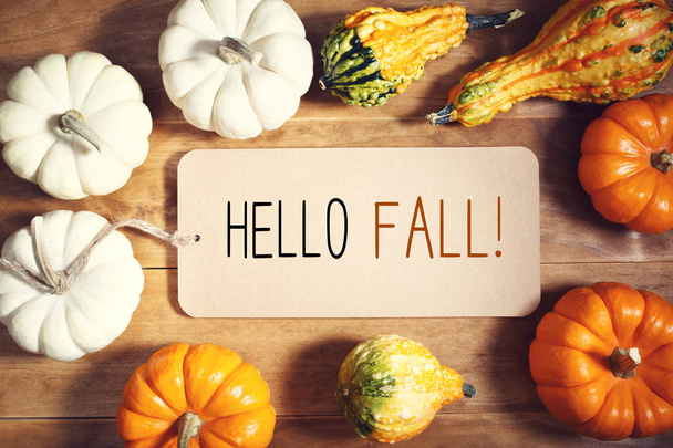 Hallo Herbst Nachricht mit Sammlung von Kürbissen - Foto, Bild