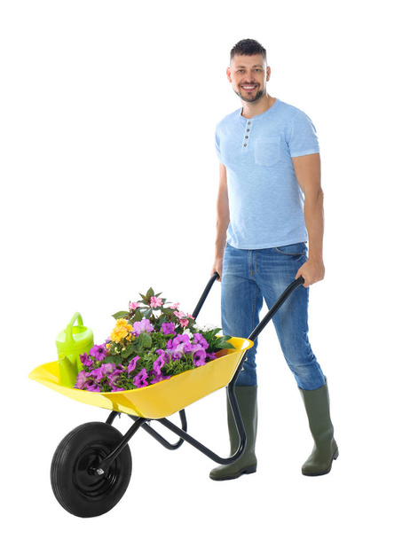 Male gardener with wheelbarrow and plants on white background - 写真・画像