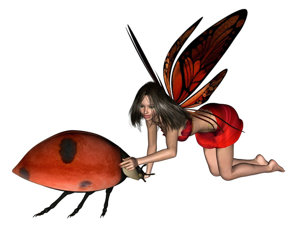 kırmızı uğur böceği peri - 1 - Fotoğraf, Görsel