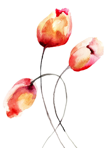 Colorful Tulips flowers - Valokuva, kuva