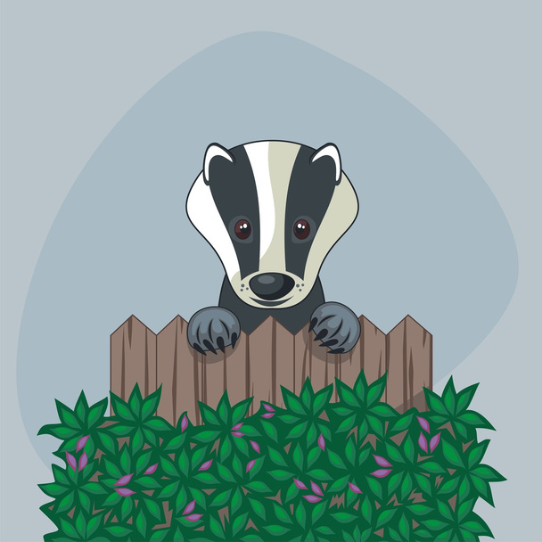 Cute Badger - Vector, Image