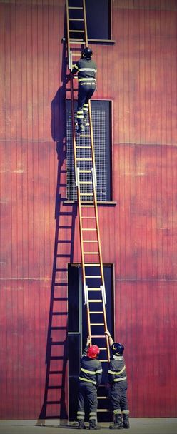 tűzoltók és a hosszú ladder - Fotó, kép