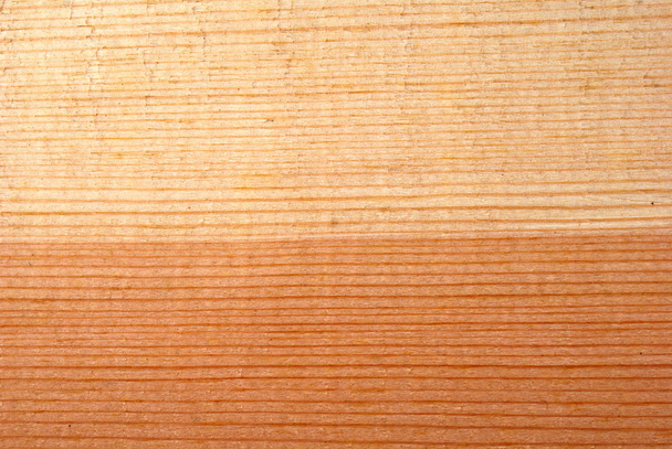 Coniferous wooden texture - Fotó, kép