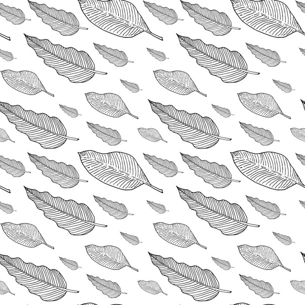 Seamless pattern with leaves or feathers. Black outlines on white background. Vector illustration. EPS10 - Вектор, зображення