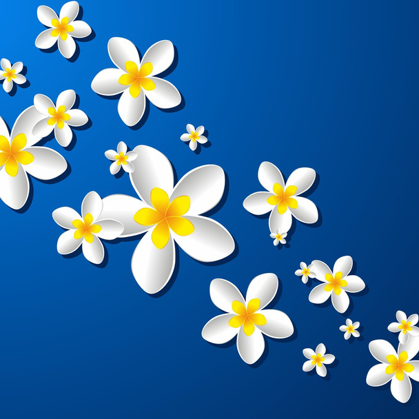 Φραντζιπάνι λουλούδια - Διάνυσμα, εικόνα