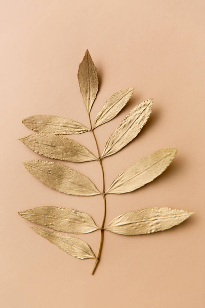 golden ash tree leaf on beige background - Photo, Image