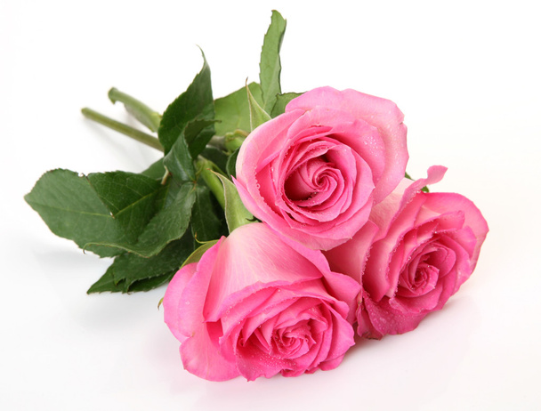 Pink rose - Fotó, kép