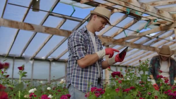 Δύο χαρούμενοι αγρότες που εργάζονται σε ένα θερμοκήπιο με λουλούδια χρησιμοποιώντας υπολογιστές tablet για να παρακολουθούν και να καταγράφουν καλλιέργειες για αγοραστές και προμηθευτές λουλουδιών σε καταστήματα, μια μικρή επιχείρηση και συναδέλφους που εργάζονται - Πλάνα, βίντεο