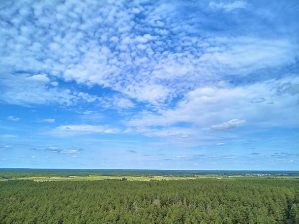 Kaunis panoraama drone näkymä Bialowieza Forest - yksi viimeisistä ja suurimmista jäljellä olevista osista valtava aarniometsä, joka kerran ulottui yli Euroopan tasangolla
 - Valokuva, kuva