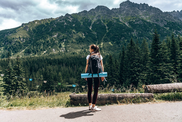 Kamera geri duran bir sırt çantası ile genç kadın gezgin, inanılmaz dağların manzarasının keyfini - Fotoğraf, Görsel