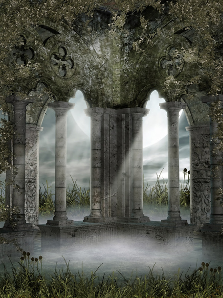Туманные руины с виноградниками
 - Фото, изображение