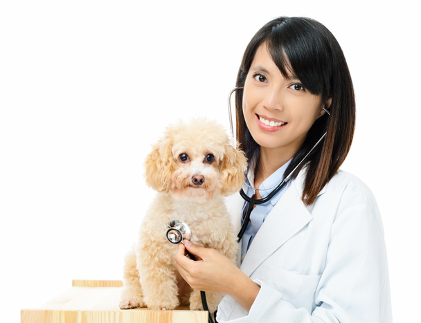 Азіатські жінки Ветеринарний лікар
 - Фото, зображення