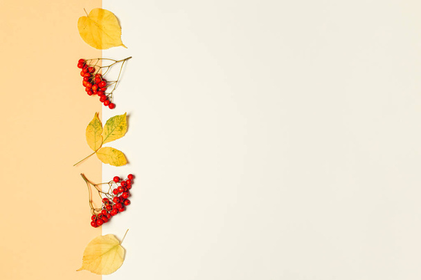 Autumn background with yellow  leaves and rowan berries. Yellow pastel background.  - Fotó, kép