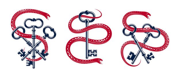 Φίδι που τυλίγεται γύρω από vintage κλειδί, προστατευμένη μυστικό έννοια, turnke - Διάνυσμα, εικόνα