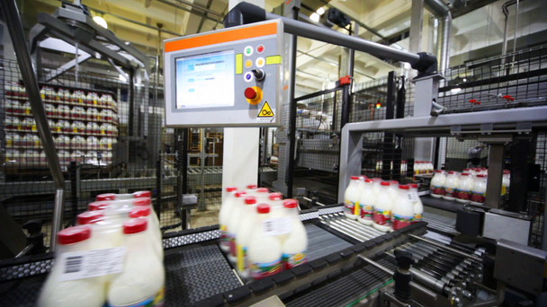 sekiz şişe süt paketlerinin arkasında Bantlı konveyörler paletleme robotları hareket. - Video, Çekim