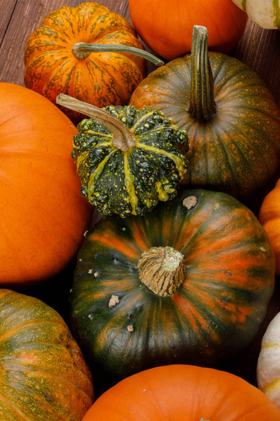 Assortiment of pumpkins background - Foto, Imagen