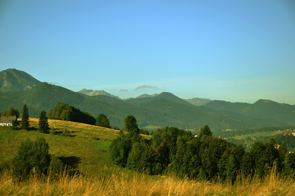 Scenic view of typical Tatra landscape, Poland - Foto, immagini