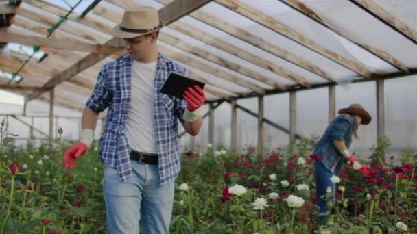 zwei glückliche Bauern, die in einem Gewächshaus mit Blumen arbeiten und Tablet-Computer benutzen, um die Ernten für Käufer und Lieferanten von Blumen für Geschäfte, ein kleines Unternehmen und Kollegen zu überwachen und aufzuzeichnen - Filmmaterial, Video