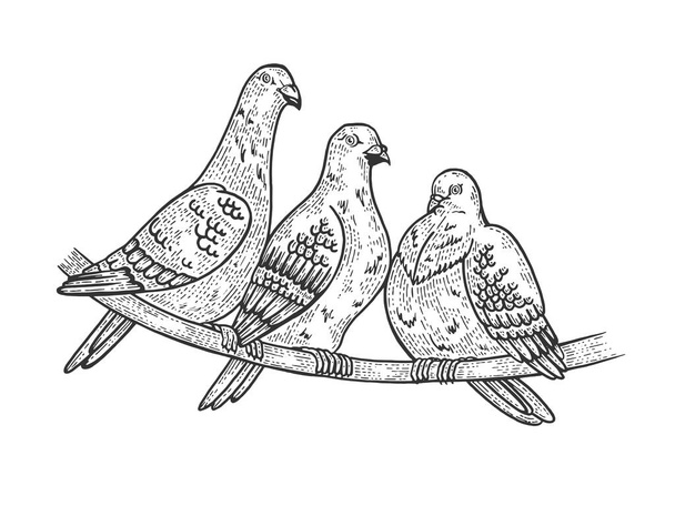Pigeon birds sketch engraving vector illustration. Scratch board style imitation. Black and white hand drawn image. - Vetor, Imagem