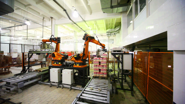Hydraulic crane automatically takes from conveyor and places packages of plastic bottles with yogurt at creamery - Footage, Video