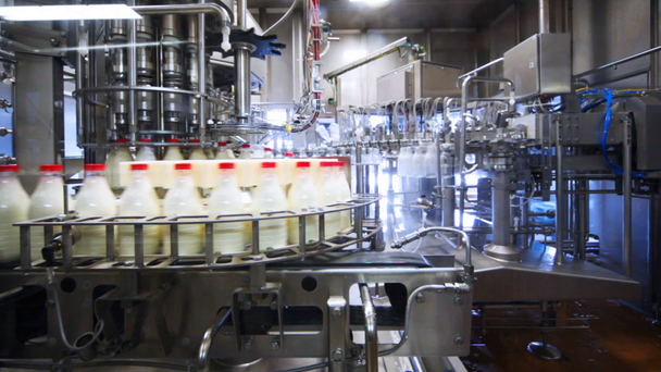şişe yıkanır, kurutulur, süt ile dolu ve fabrika konveyör Kapaklar kapatın - Video, Çekim