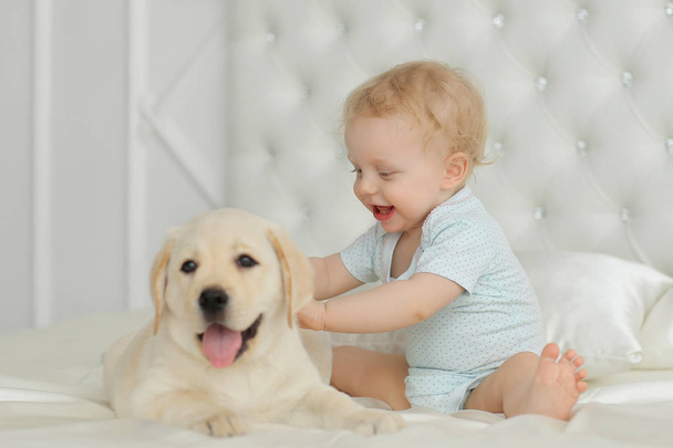 Baby girl with labrador puppy - Фото, изображение