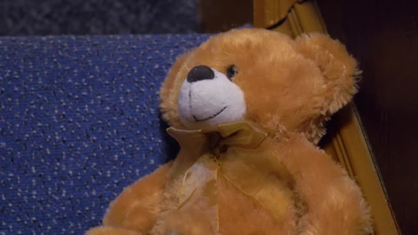 O brinquedo de urso de pelúcia marrom
 - Filmagem, Vídeo