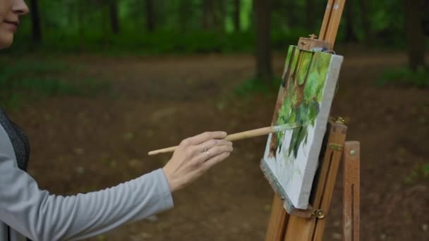Vista laterale di una donna che dipinge a mano un paesaggio su tela in un parco
 - Filmati, video