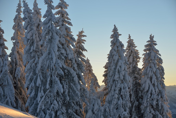 winter mountain landscape - Foto, imagen