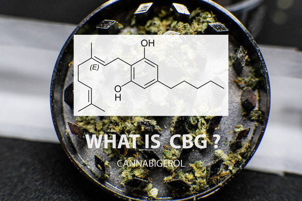 Compuestos cannabinoides de cannabigerol en la planta de cannabis femenina
. - Foto, Imagen