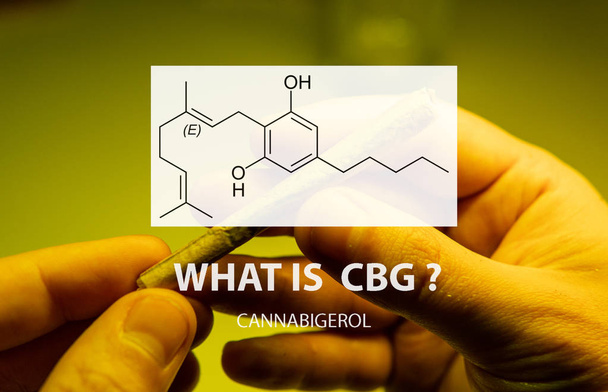 Compuestos cannabinoides de cannabigerol en la planta de cannabis femenina
. - Foto, Imagen