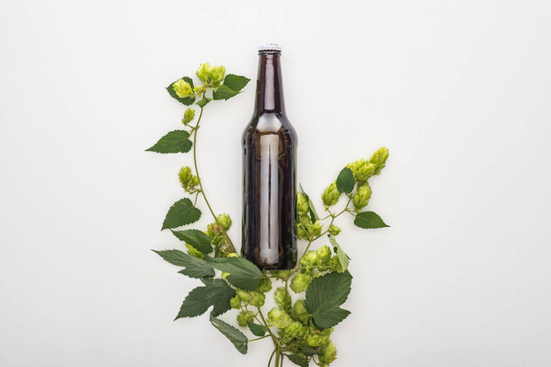 vista superior de la cerveza en botella con lúpulo verde sobre fondo blanco
 - Foto, imagen