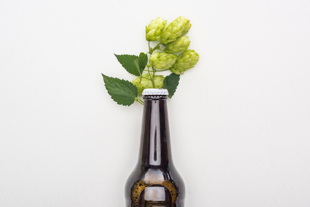 top view of fresh beer in bottle with hop on white background - Foto, immagini