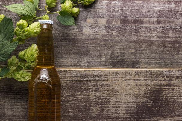 top view of beer in bottle with green hop on wooden background - Foto, imagen