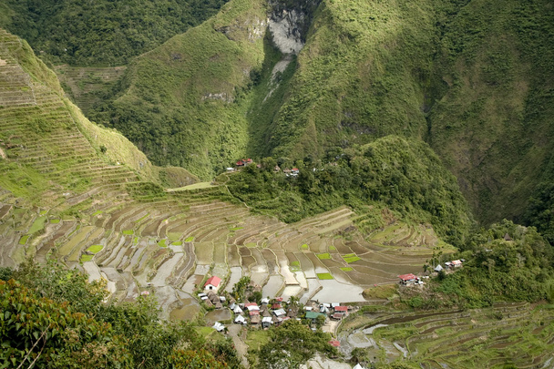 Ifugao rizs teraszok batad - Fotó, kép
