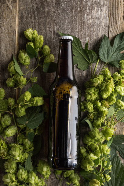 vista dall'alto della birra in bottiglia in luppolo verde su sfondo di legno
 - Foto, immagini