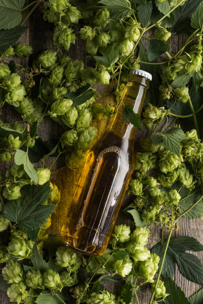 top view of beer in bottle in green hop - Photo, Image