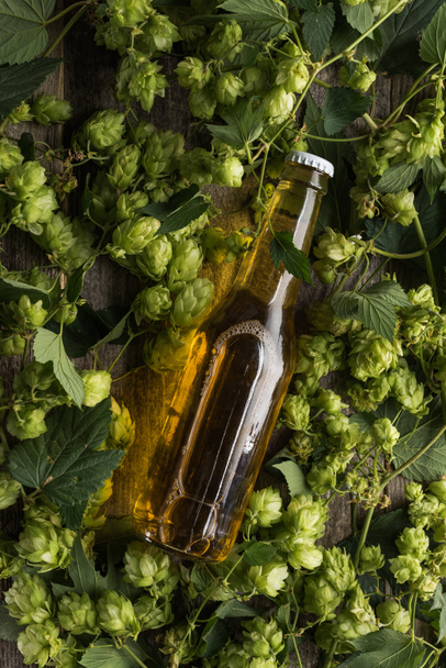 top view of beer in bottle in green hop - Foto, imagen
